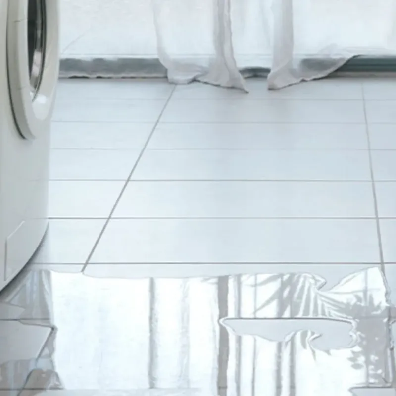 Appliance Leak Cleanup in Rich County, UT