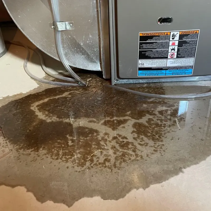 Pipe Burst and Leak Restoration in Rich County, UT